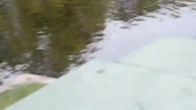 Утки и лебеди в Летнем саду.AVI смотреть онлайн