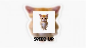 ♡ плейлист песен из тиктока 2023 speed up ♡