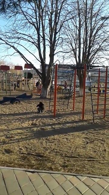 💥Мерзлячки все к нам!Горячий Ключ. Декабрь.2021г #Shorts смотреть онлайн