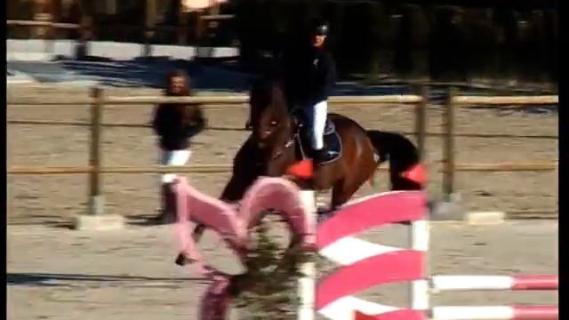 STEFANIA BUZYKANOVA & HIDRO VAN DE OUDE, 25/01/2015, 1.30m смотреть онлайн