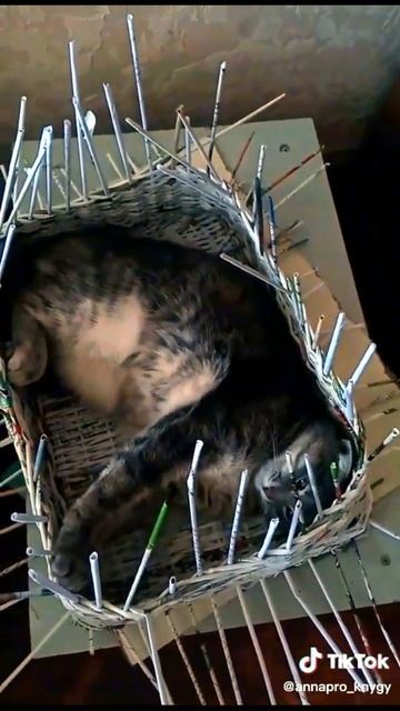 Мурликання смотреть онлайн