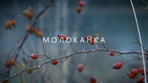 "МОЛОКАНКА" (2017). Документальный фильм Татьяны Снисаренко