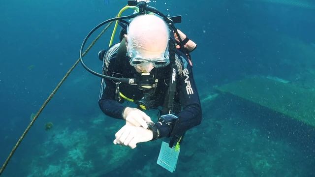 Shearwater Peregrine Dive Computer | ScubaLab Best Buy смотреть онлайн