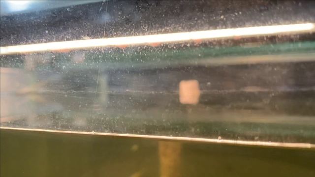 Пруд в гараже.Много карпа КОИ.Есть проблемы смотреть онлайн