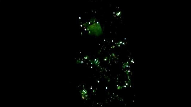 Елочка, гори! смотреть онлайн