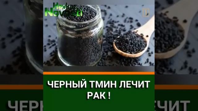 Чёрный тмин смотреть онлайн
