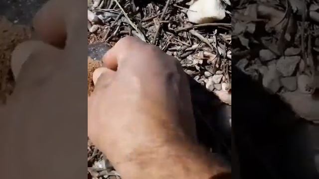 Eşsiz kuvars kristalleri ve doğal taşlar Quartz Crystals смотреть онлайн