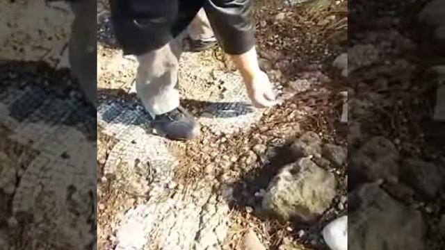 Мозаике чуть больше 2000 лет смотреть онлайн