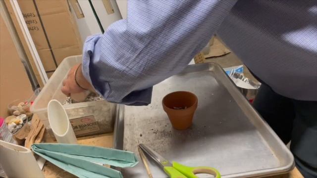 Repotting a ferocactus смотреть онлайн