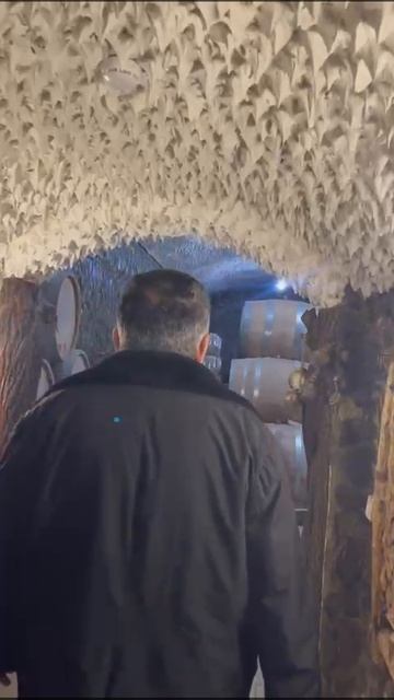 СКАЗОЧНЫЙ САМАРКАНД смотреть онлайн