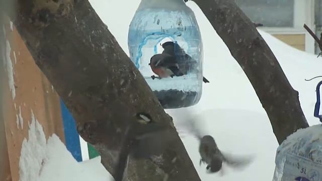 Их стало о-о-чень много! смотреть онлайн