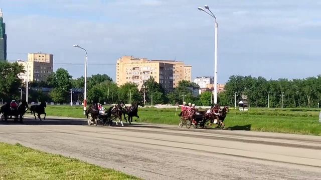 Тройка в экипаже Алексея Чистякова. СПК "ПКЗ Вологодский" на Кубке Росипподромов'22 смотреть онлайн