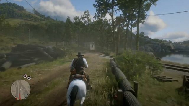 Red Dead Redemption 2_мастер охотник убиваю пум из лука смотреть онлайн