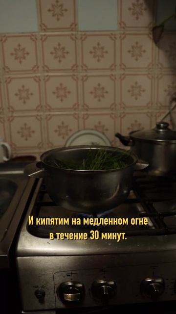 Секретная бабушкина подкормка для вашего огорода смотреть онлайн