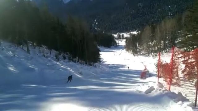 Архыз 2015 смотреть онлайн