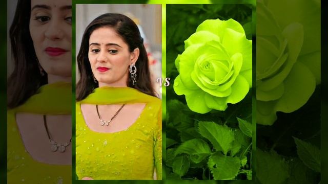 Sai Vs Roses🌹😍|| Ayesha Singh as a Rose 🌺| Who is Your Favourite | #ghkkpm #Sairat #starplus смотреть онлайн
