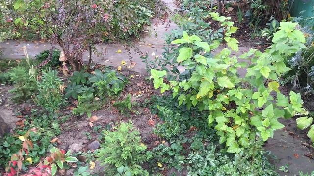 31 октября 2020 г. смотреть онлайн