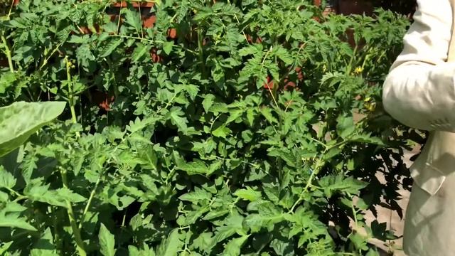 What are the Nolan principles? смотреть онлайн