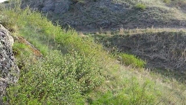 Природа казахстана ,The Nature Of Kazakhstan