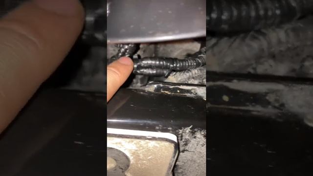 Подключение волговских гудков на ceed 3(cd) смотреть онлайн