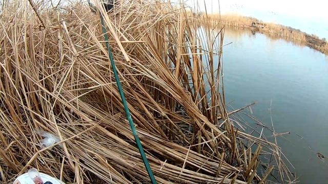 ЖОР плітки на поплавочну удочку. смотреть онлайн