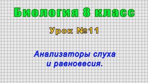 Биология 8 класс (Урок№11 - Анализаторы слуха и равновесия.)