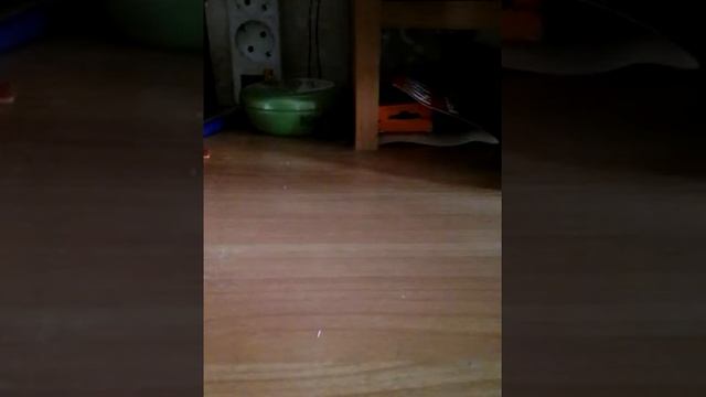 Моя долгожданная покупка. смотреть онлайн