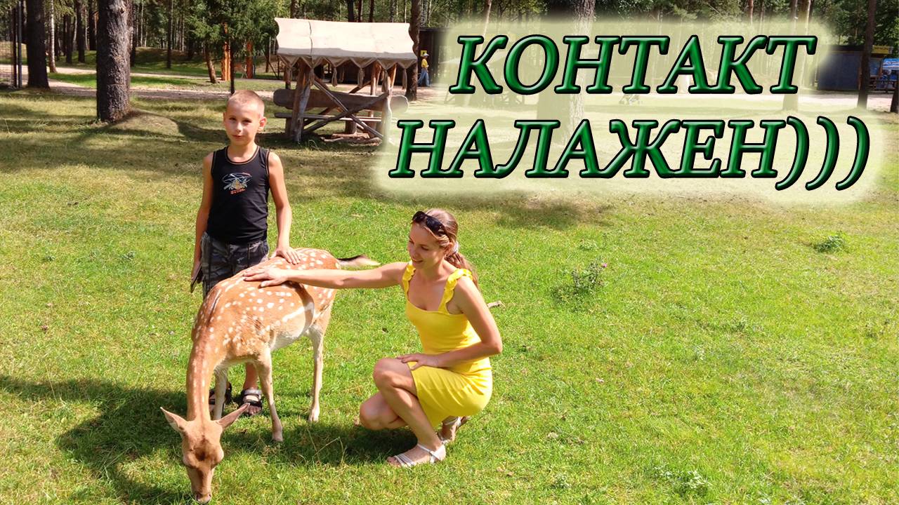 САМЫЙ БОЛЬШОЙ КОНТАКТНЫЙ ЗООПАРК/ПАРК ЖИВОТНЫХ "ДИПРИЗ" В БАРАНОВИЧАХ/БЕЛАРУСЬ#изстолицывдеревню смотреть онлайн
