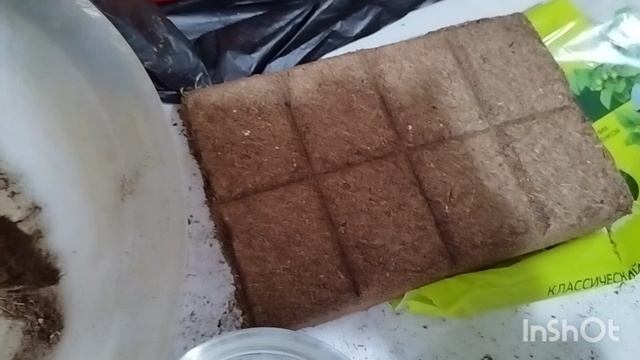 Готовлю грунт для рассады. смотреть онлайн