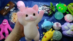 АСМР СКВИШИ✨ ТАБА СКВИШИ лапки и другие антистрессы распаковка АСМР 🥰