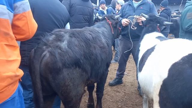 МОЛБОЗОРИ ХИСТЕВАРЗ БУКАИ НИГОХБОРИ ХУЧАНД ХУДЖАНД 29 марта 2024 г. смотреть онлайн