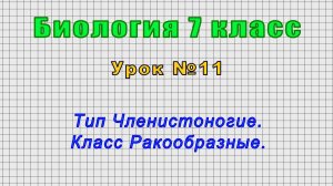 Биология 7 класс (Урок№11 - Тип Членистоногие. Класс Ракообразные.)
