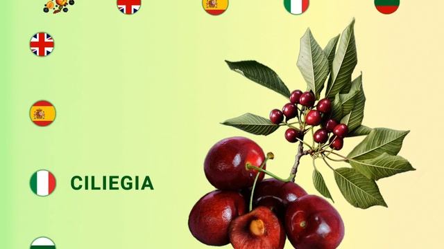 Имена на Плодове, Fruit names, nomi di Frutta, nombres Frutas (English, Spanish, Italian, Bulgarian смотреть онлайн