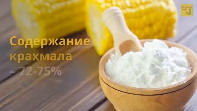 Кукурудза СІ Фортаго 🌽 - опис гібрида 🌽 смотреть онлайн