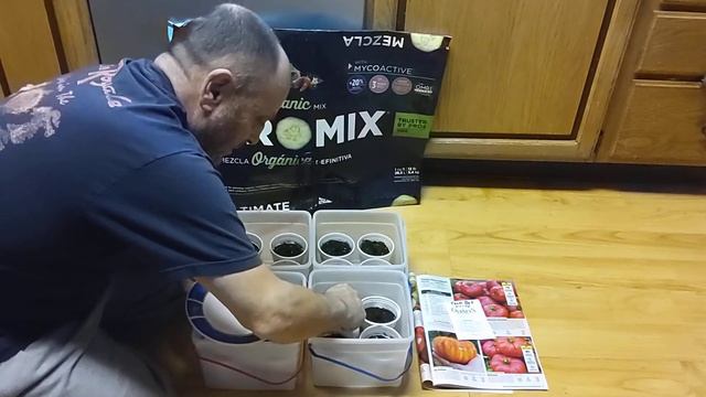 planting aunt Betty's Big Rainbow tomato seeds 2021 смотреть онлайн