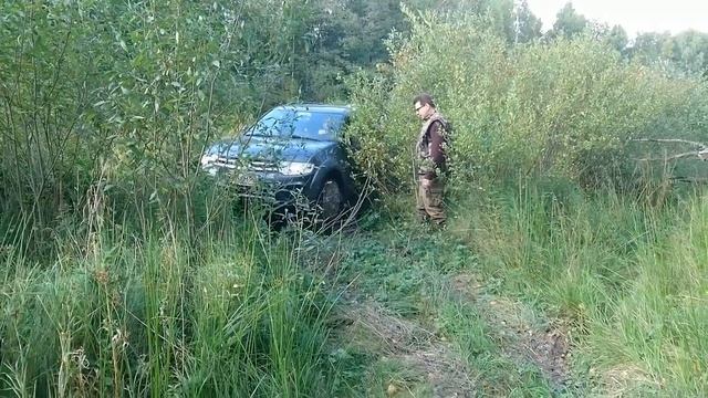 Просека смотреть онлайн