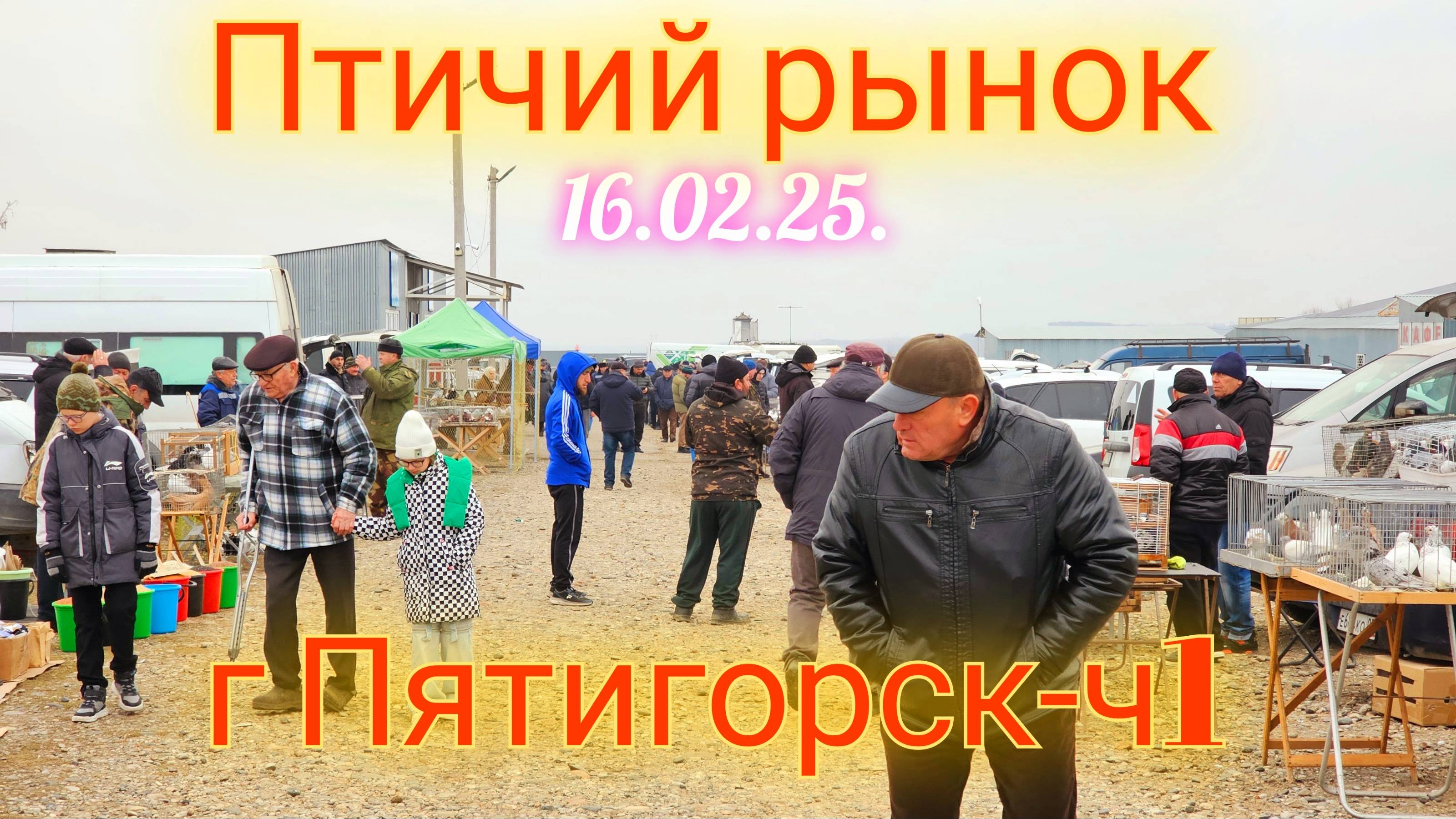 Голуби цены Птичий рынок г Пятигорск - ч1 смотреть онлайн