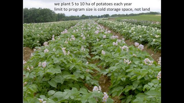 Potato Breeding смотреть онлайн