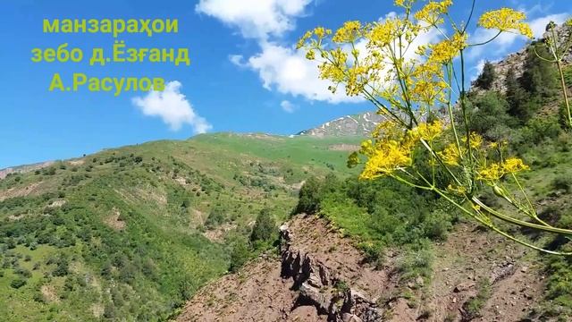 Манзарахои зебо.то охираша тамошо кунед. смотреть онлайн