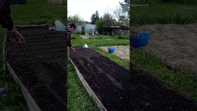 25.04.24.Будни Анны. Будем сеять укроп. смотреть онлайн