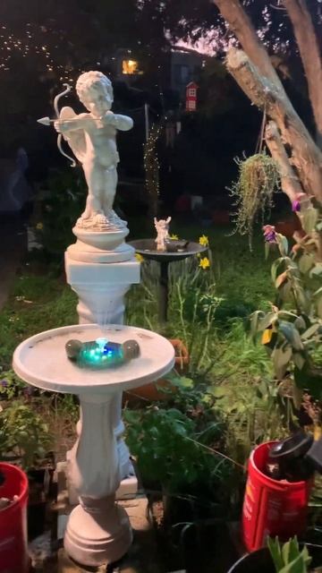 Solar lights for my backyard смотреть онлайн