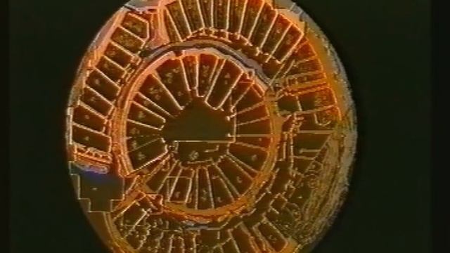 Digimortal  -  P - эволюция