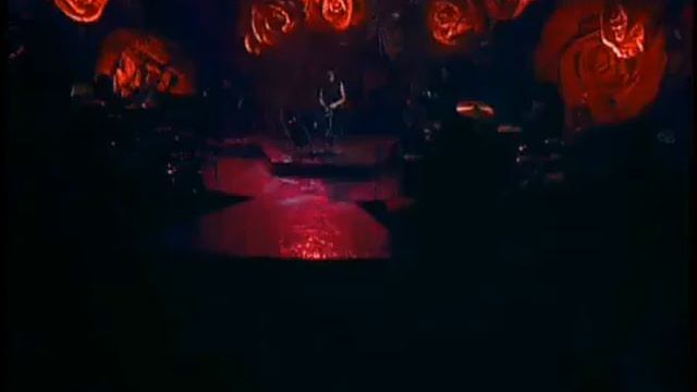 Cassia Eller Malandragem acústico.mp4 смотреть онлайн