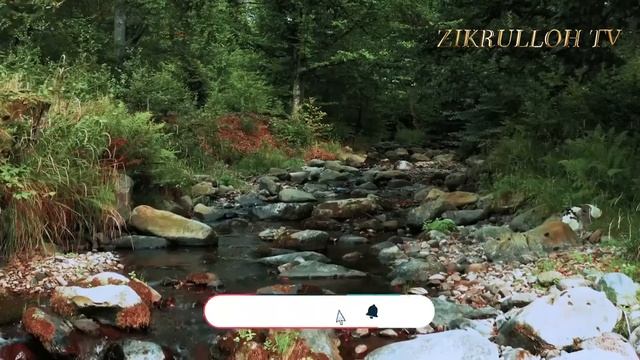 Qazo Namozi O'qish Tartibi, Qazo Namozi Qanday O'qiladi, Qazo Namozi Qaysi Vaqt O'qiladi