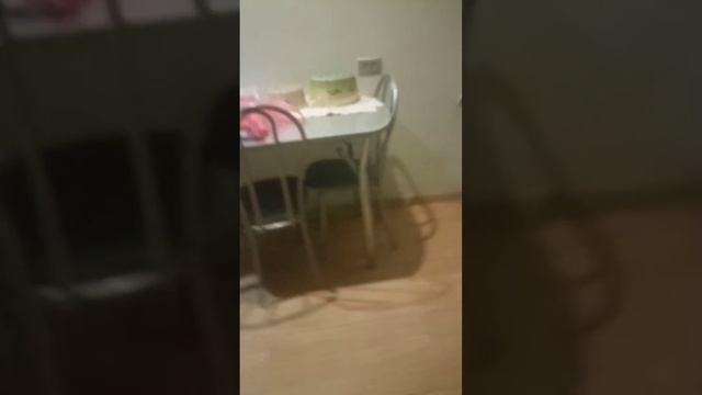 обычный ужин (нет) смотреть онлайн