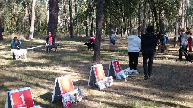 Выставка #2 смотреть онлайн