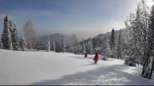 Давай Михалыч!