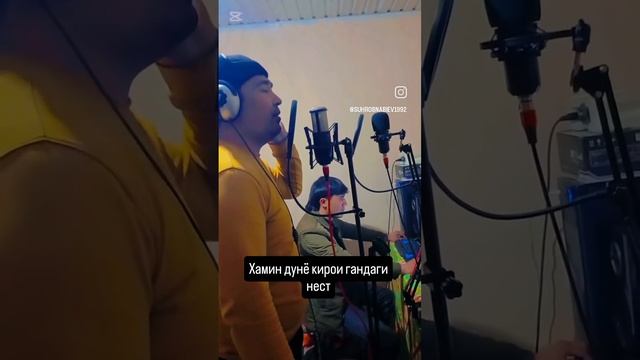 хамин дуне кирои гандаги Нест