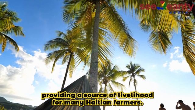 Haiti's Most Popular Fruits (Part.1) - SeeJeanty смотреть онлайн