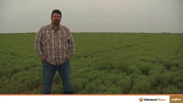 Vibrance® Maxx: Protects your pulses from early season disease смотреть онлайн